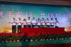 国昌天宇集团债权、债务重组项目